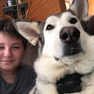 Meet your Posher, Bayden